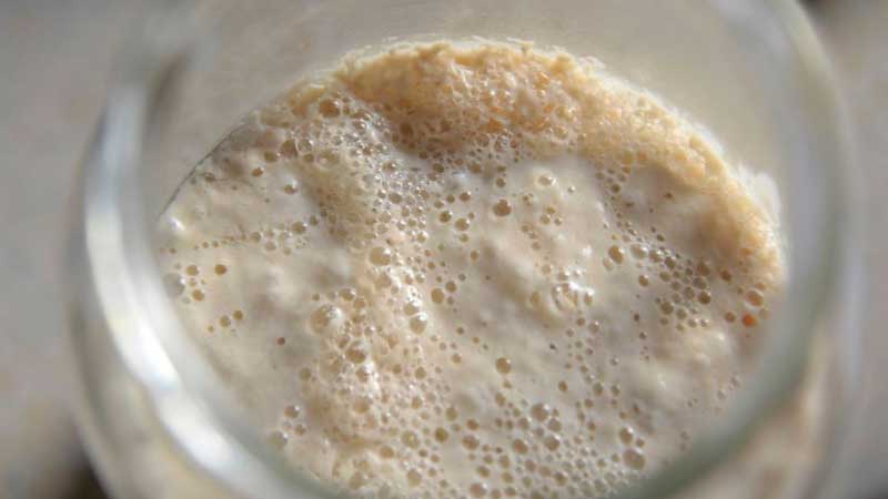 How To Tell If Your Sourdough Starter Is Bad