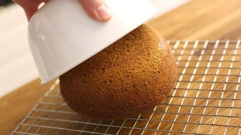 Make a Cake without a Cake Pan