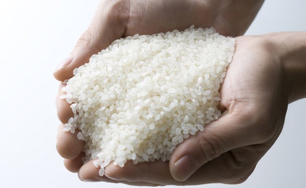 White grain of rice in hand.